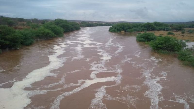 foto52914