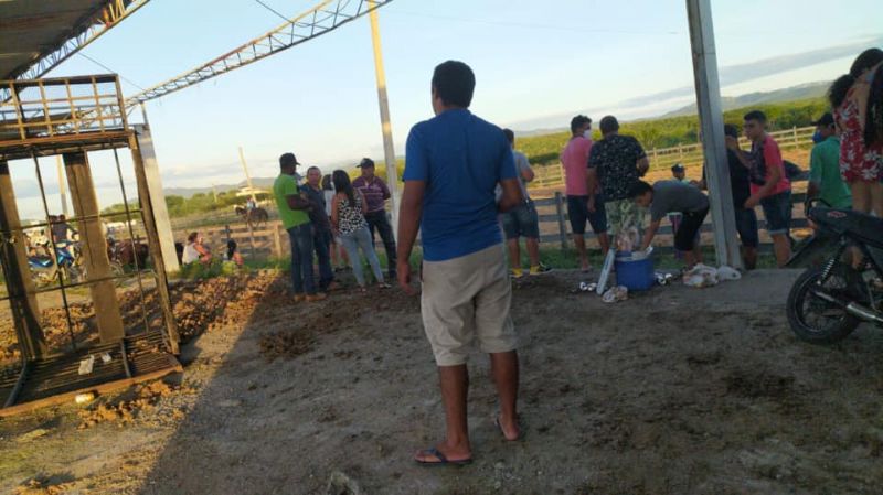 foto54565