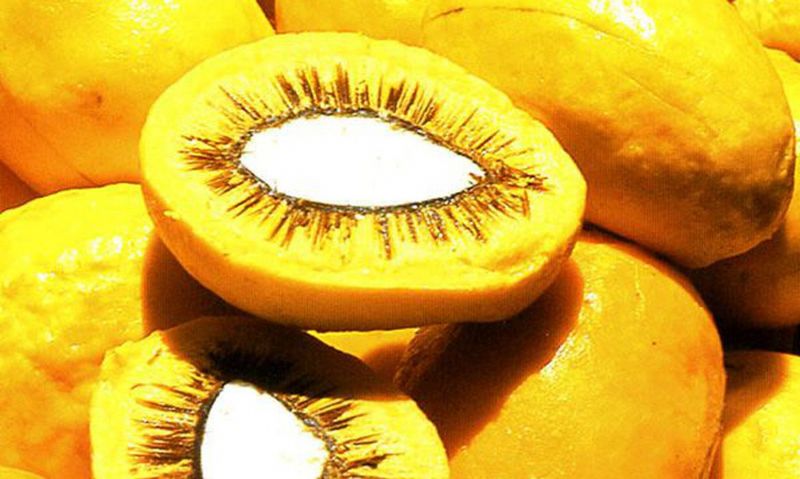 foto59693