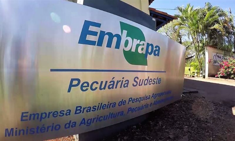 foto54003
