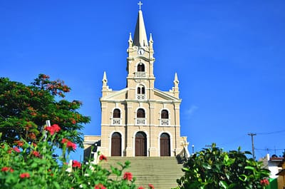 foto61811