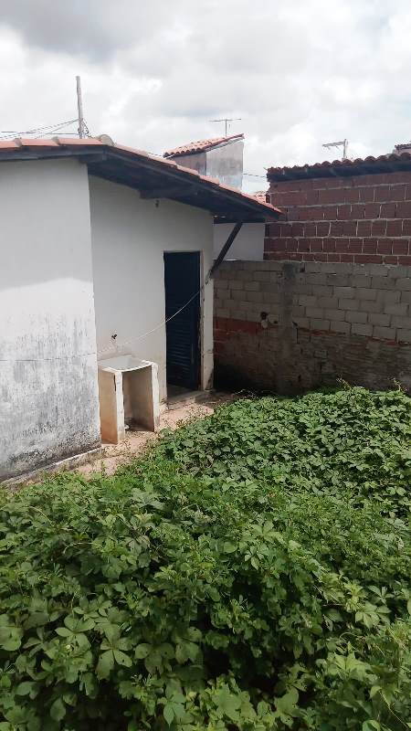 foto61106