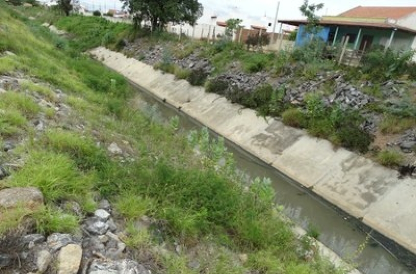 foto61334
