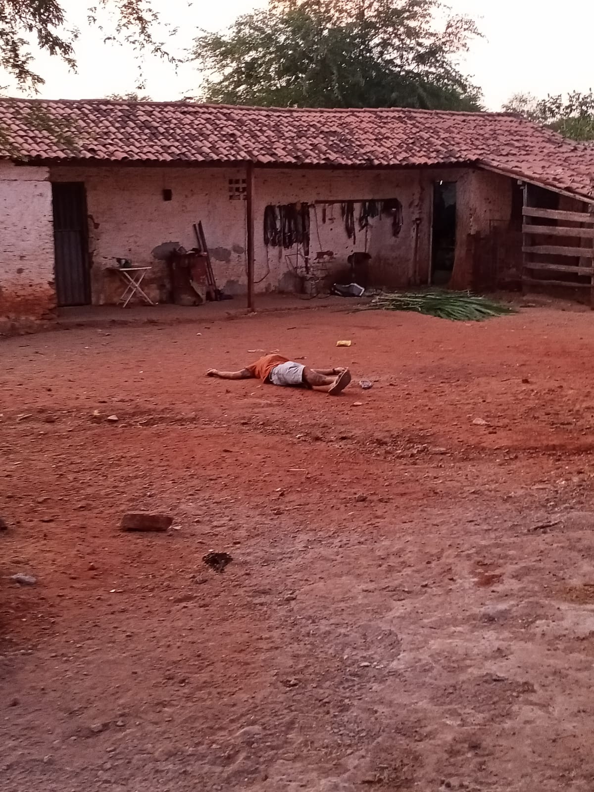 foto65472