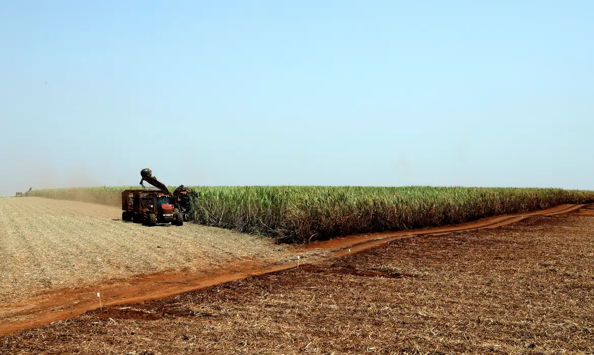 foto66096