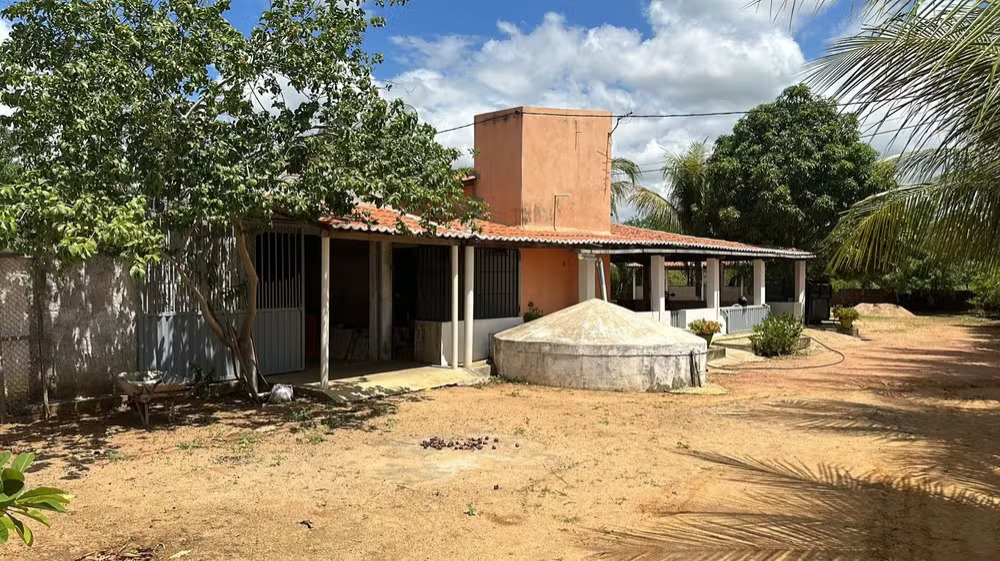 foto66430