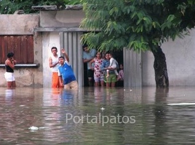 foto66526