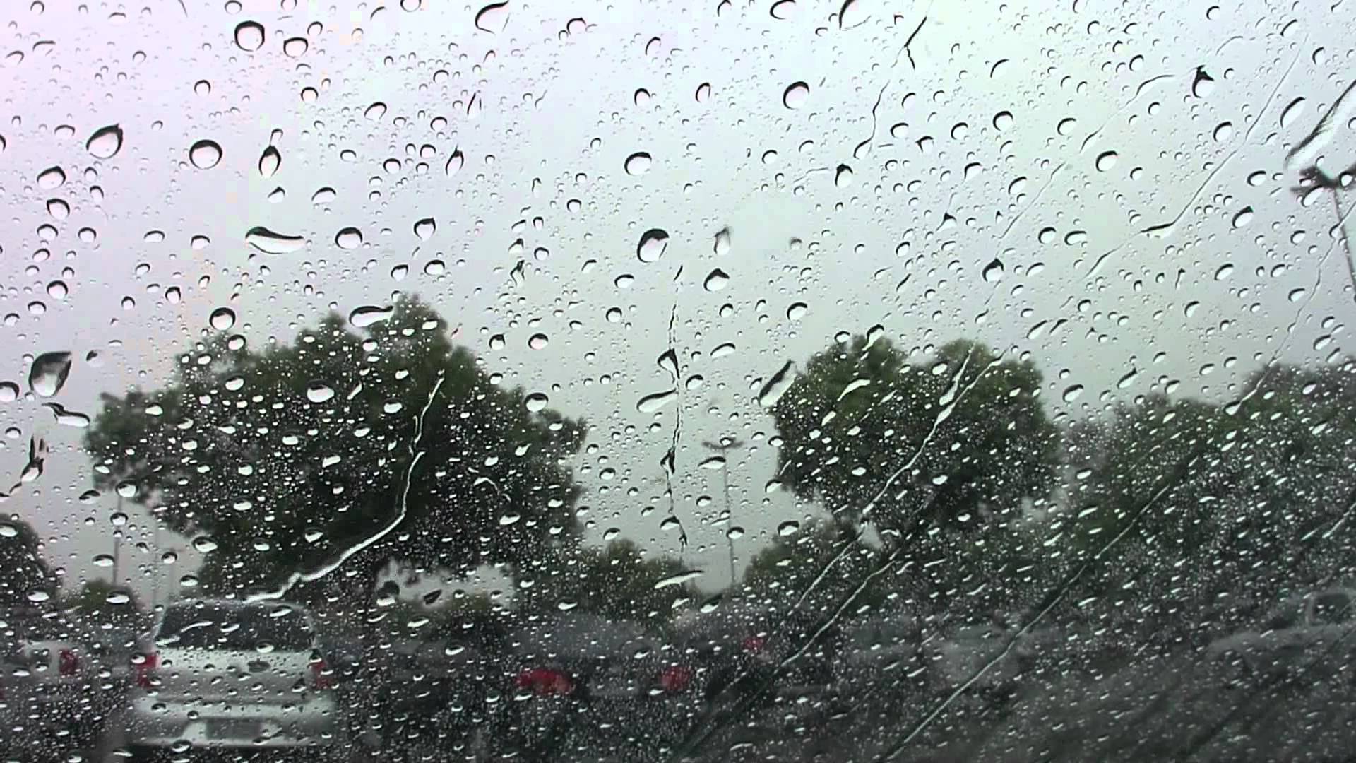 foto66896