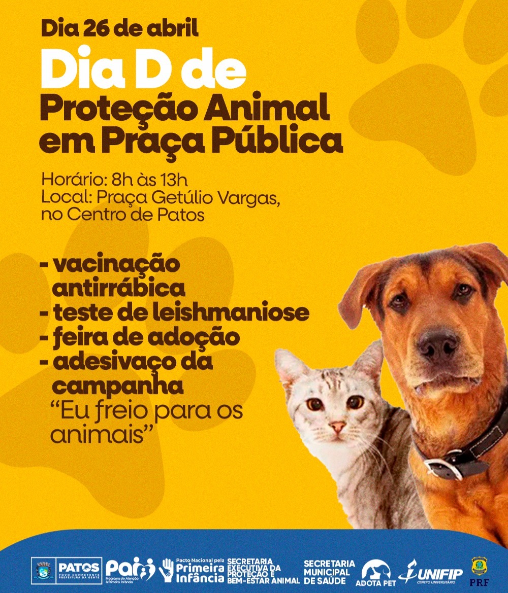 foto66924