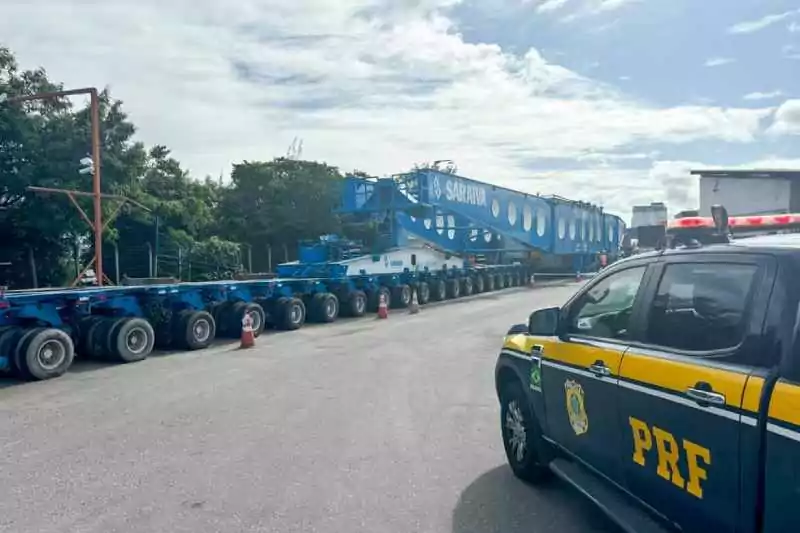 foto69565
