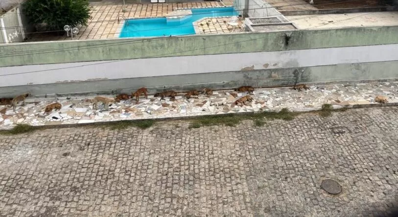 foto70914