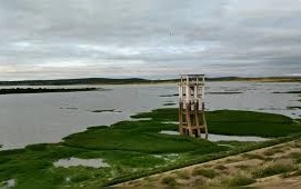 foto72619